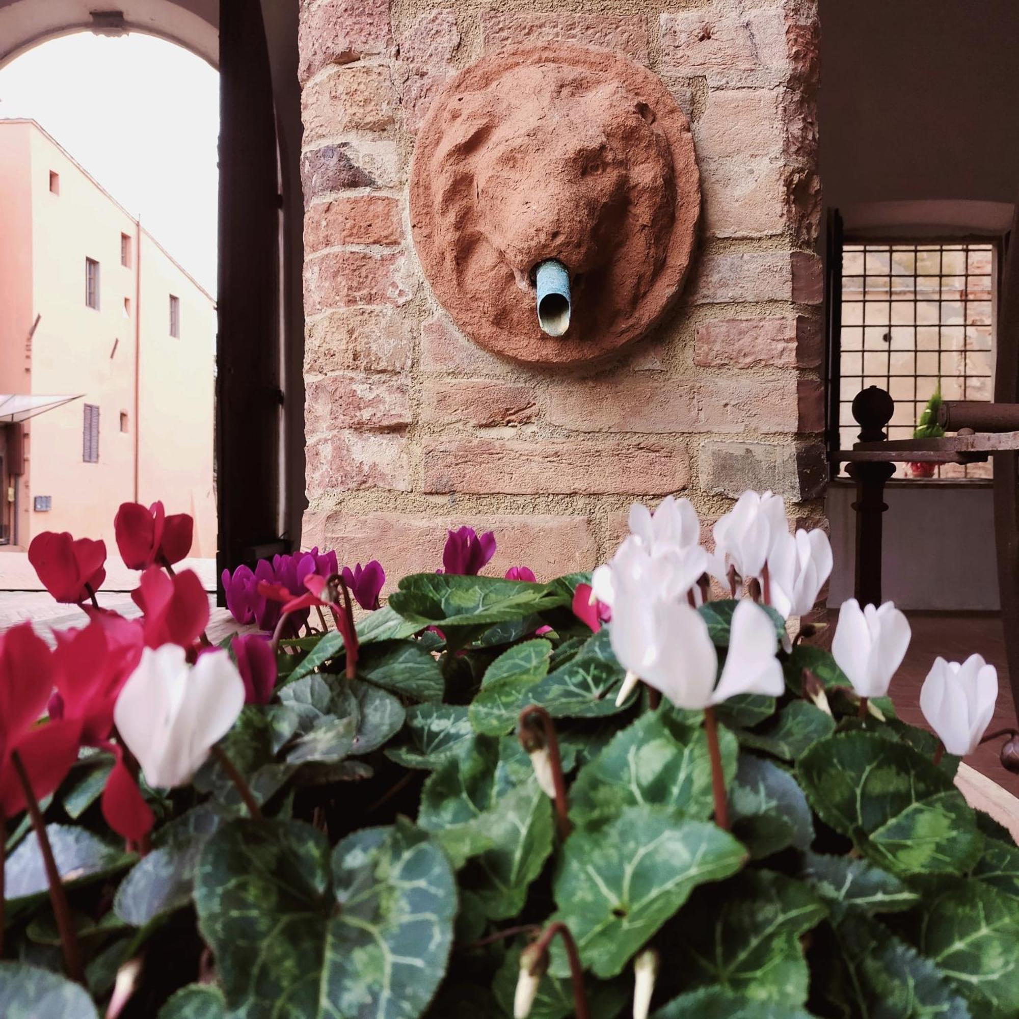 Palazzo Stiozzi Ridolfi Apartment Certaldo Exterior foto