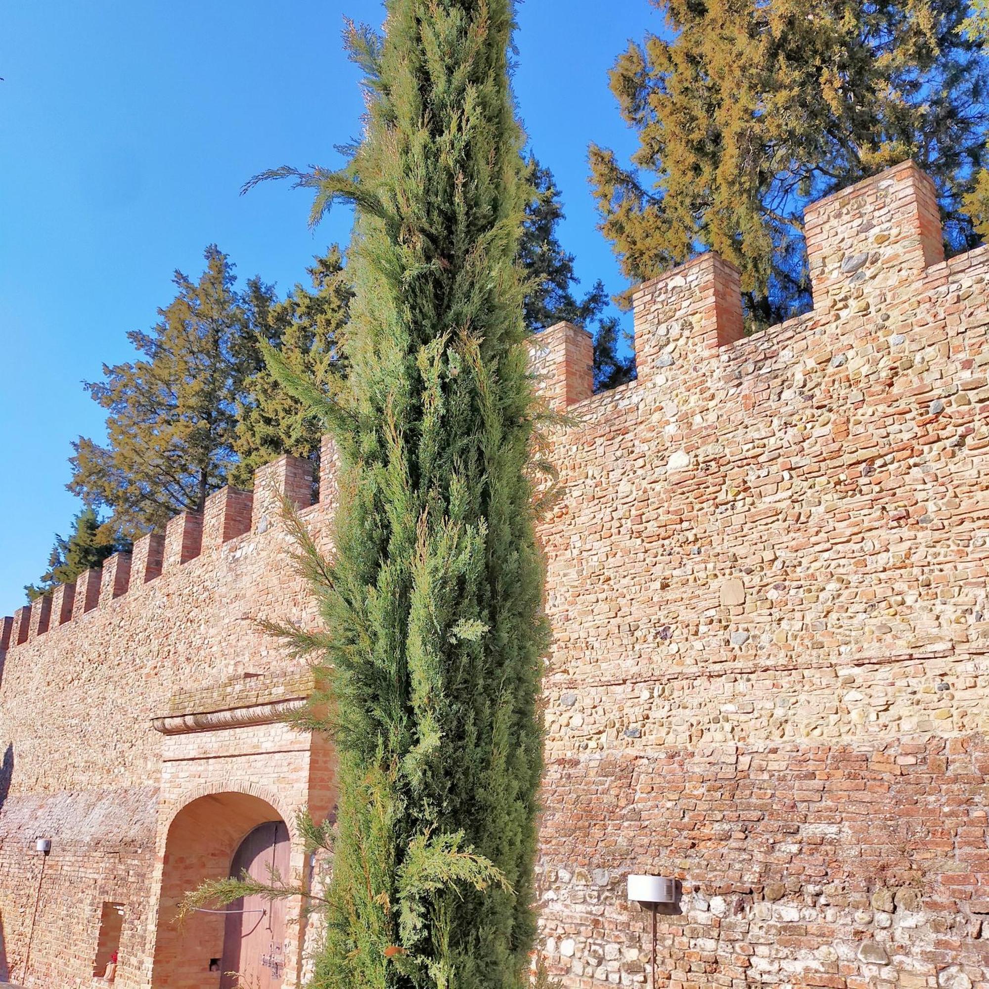 Palazzo Stiozzi Ridolfi Apartment Certaldo Exterior foto